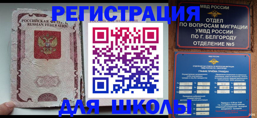 прописка гарантия в Черноголовке
